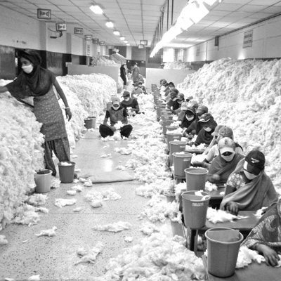 Processing Cotton in India Manually processing cotton in an Indian factory