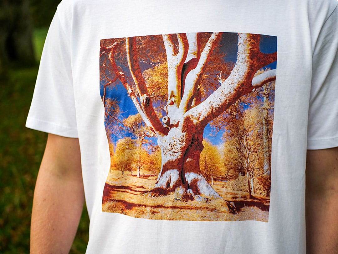 Close Up Photo of Beech Digital Print T Shirt by Grace Finnie