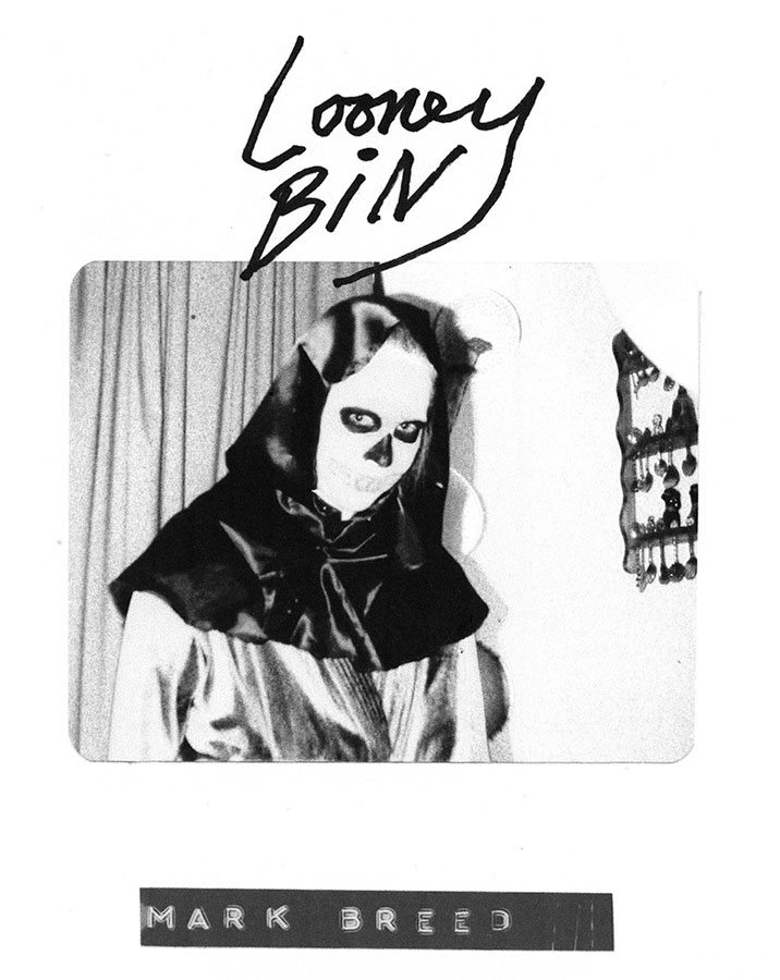 Looney Bin Zine by Mark Christopher Breed